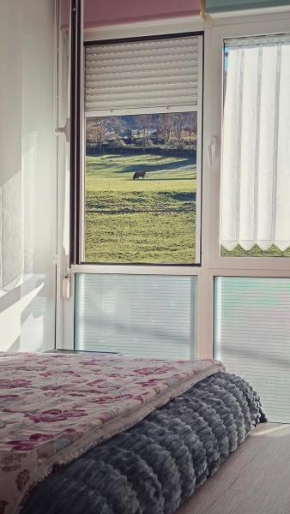 APARTAMENTO VALMAYOR
